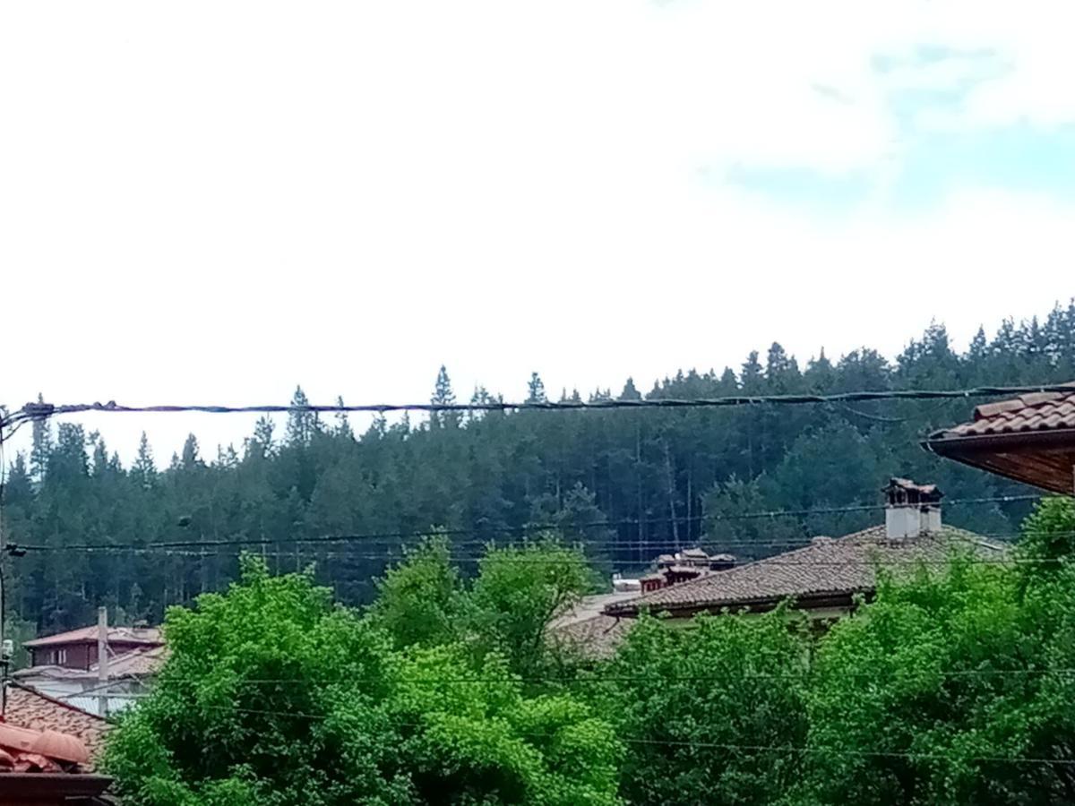 Стаи За Гости Милена Koprivshtitsa Luaran gambar